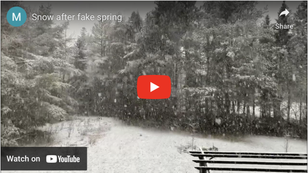 Video of snow on Youtube